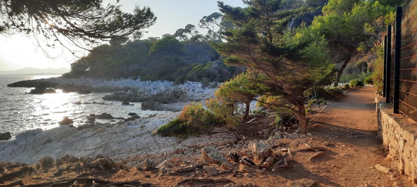 Studio Sun-Beach Avec Parking Et Jardin - 500M Des Plages De Juan Les Pins Antibes Exterior foto